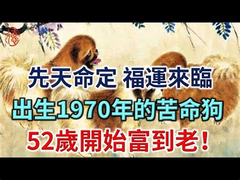 1970屬狗十年運勢|1970年属狗一生运程 70年狗一生运势如何